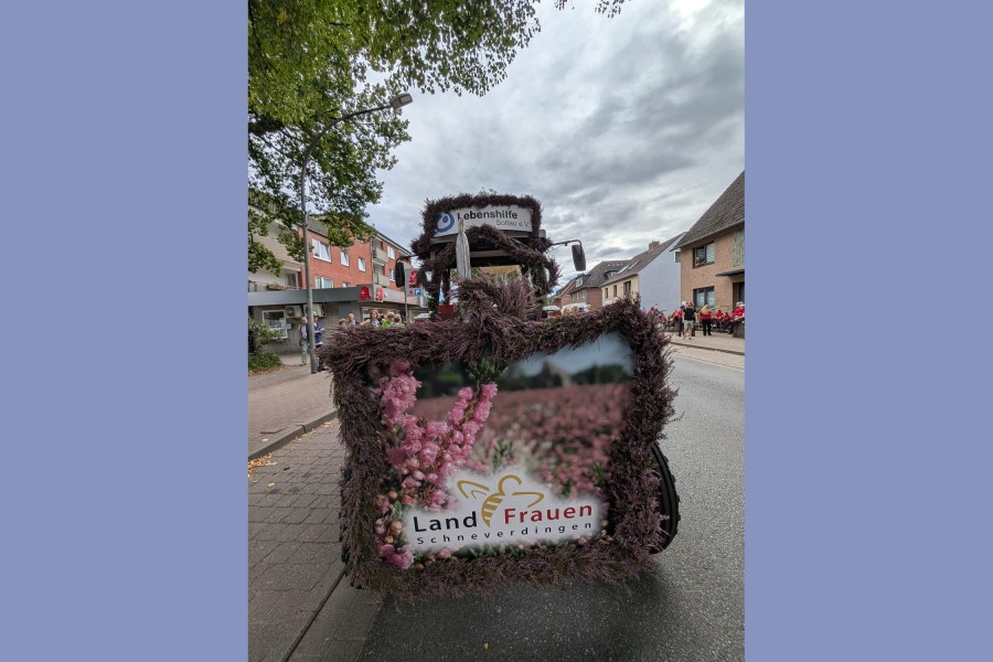 Heideblütenfest - August 2025