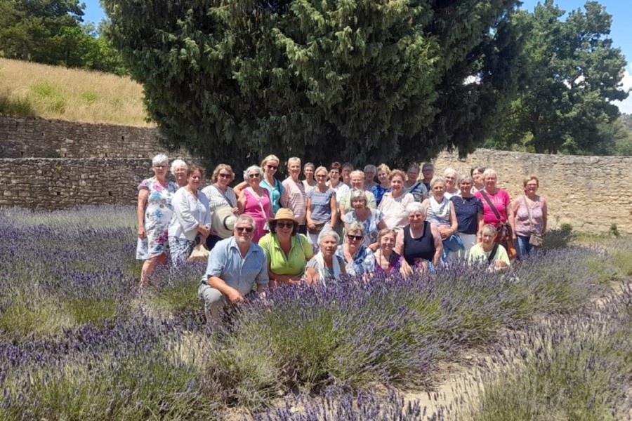 Mehrtagesfahrt: Leuchtende Farben der Provence - Juni/Juli 2025