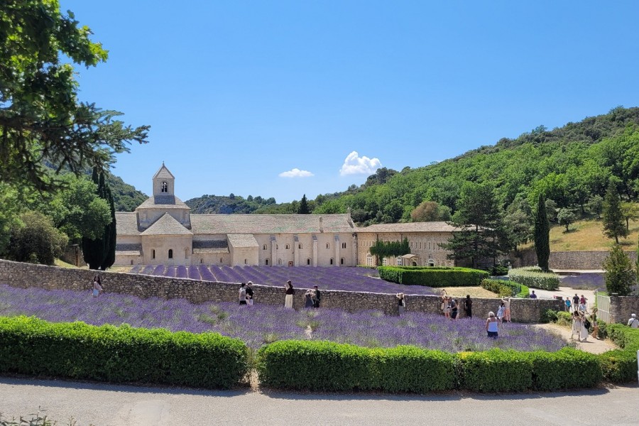 Mehrtagesfahrt: Leuchtende Farben der Provence - Juni/Juli 2025