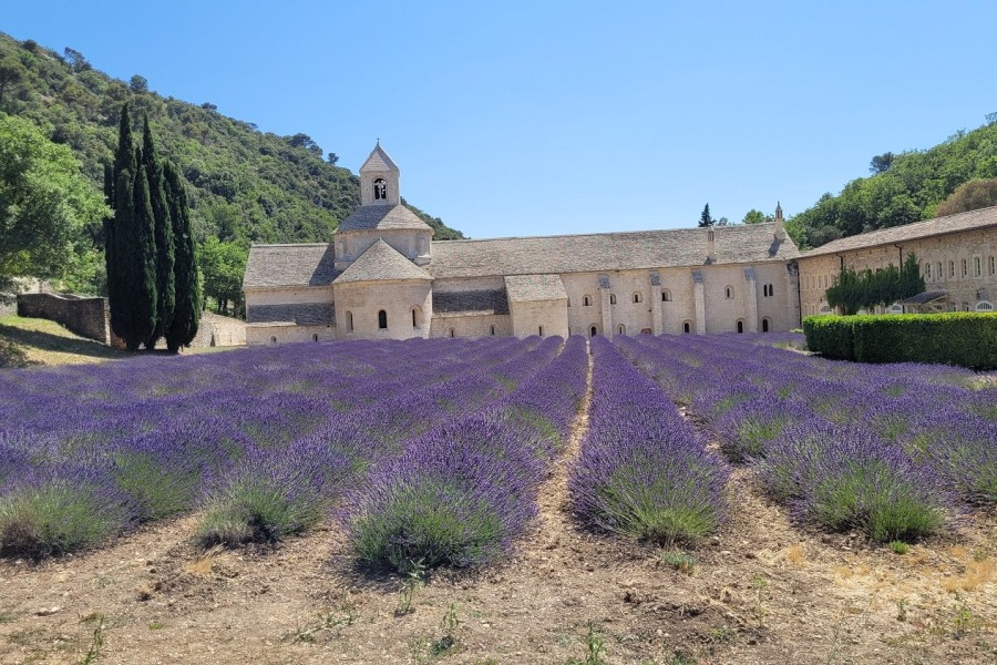 Mehrtagesfahrt: Leuchtende Farben der Provence - Juni/Juli 2025