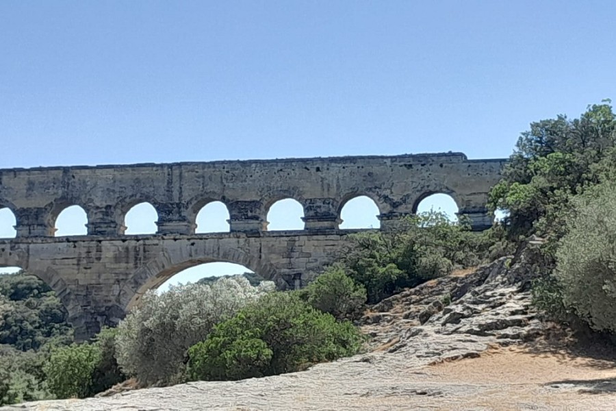 Mehrtagesfahrt: Leuchtende Farben der Provence - Juni/Juli 2025